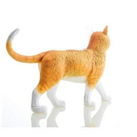 Anatomski model narančaste mačke 4 inča