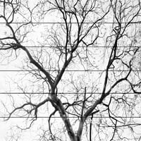 Crne grane Slikanje tiska na bijelom drvetu