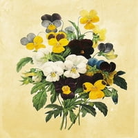Slike tiskane botaničke prirode i cvjetne umjetnosti otiske, set od 2