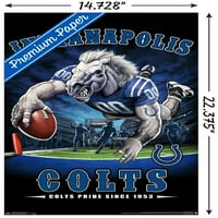 Indianapolis Colts - Zidni plakat krajnje zone, 14.725 22.375