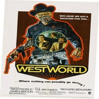 Filmski plakat svijet Divljeg zapada 24.36 inča umjetnički plakat Višebojni kvadratni plakat za odrasle u Americi
