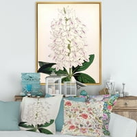 DesignArt 'drevna bijela orhideja III' Tradicionalno uokvireno platno zidno umjetnički tisak