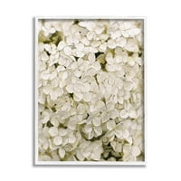 Bijele nježne latice hortenzije Botanička i cvjetna grafička umjetnost bijela uokvirena umjetnička print zidna umjetnost