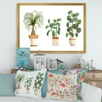 DesignArt 'Trio kućnih biljaka ficus reil i palm' tradicionalni uokvireni umjetnički tisak
