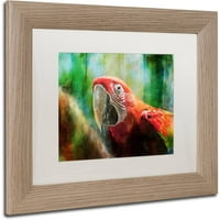 Zaštitni znak likovna umjetnost Zelena krilata Macaw Canvas Art by Lois Bryan White Matte, okvir breze