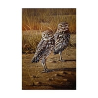 Zaštitni znak likovna umjetnost 'Burroing Sowls' platno umjetnost Wilhelma Goebel